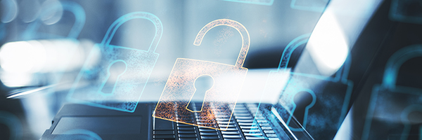 Best Practices in Data Privacy
